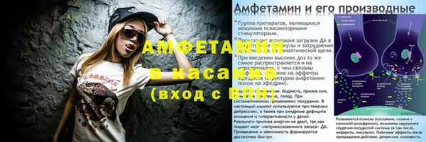 шишки Алзамай