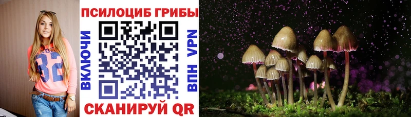 наркотики  Костомукша  Галлюциногенные грибы мицелий 