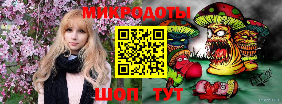 Галлюциногенные грибы мухоморы Костомукша